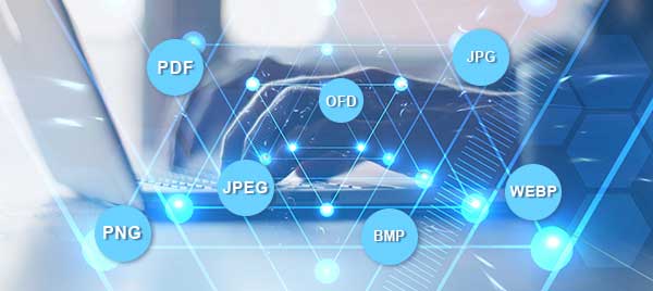 金飞科技票据识别系统